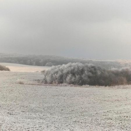 Ferienwohnung Uckermarkblick Ziehten Εξωτερικό φωτογραφία