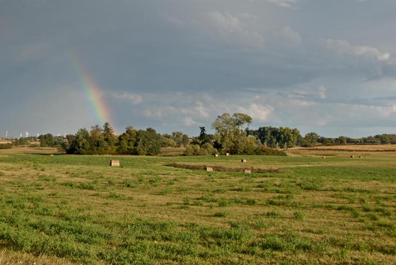Ferienwohnung Uckermarkblick Ziehten Εξωτερικό φωτογραφία
